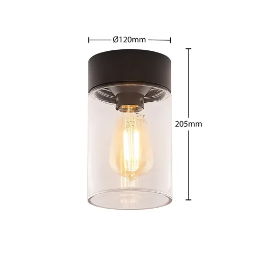 Arcchio Liljana buiten plafondlamp, IP65, zwart