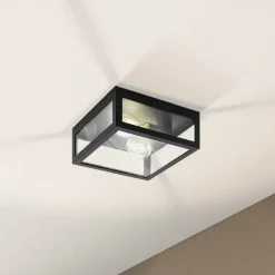 Badkamer plafondlamp Amezola, 2-lamps, zwart