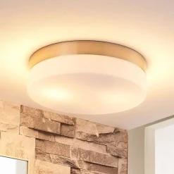 Badkamer plafondlamp Amilia, Ø 23,5 cm, E27, nikkel, glas