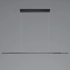 BANKAMP Lightline V3 flex hanglamp up/down
