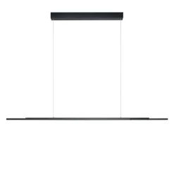BANKAMP Lightline V3 flex hanglamp up/down