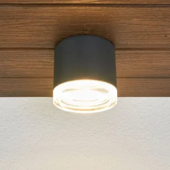 BEGA 66056K3 buiten plafondlamp grafiet 3.000K 62°
