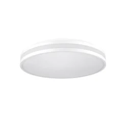 Billbrook LED plafondlamp met noodverlichtingsfunctie