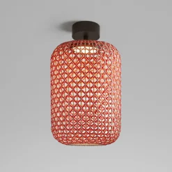 Bover Nans PF/31.2 LED buiten plafondlamp, rood