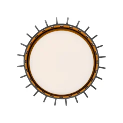 Buiten plafondlamp Aludra, IP54, antraciet, aluminium