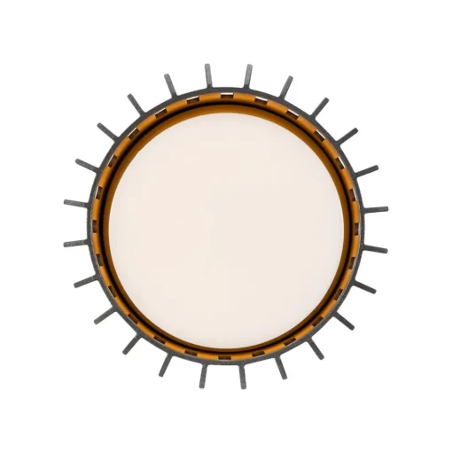 Buiten plafondlamp Aludra, IP54, antraciet, aluminium