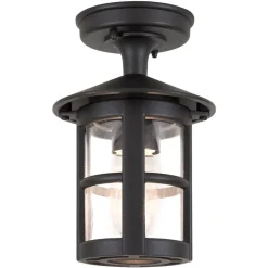 Buitenplafondlamp Hereford