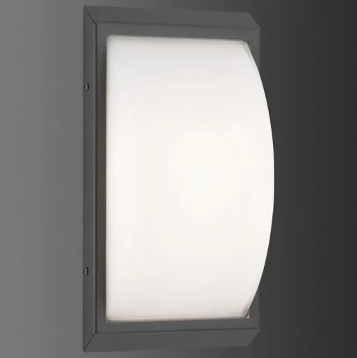 Buitenwandlamp 053 met bewegingsmelder, grafiet