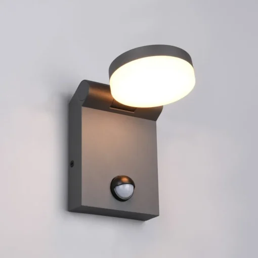 Buitenwandlamp Adour, antraciet, sensor, kantelbaar, CCT