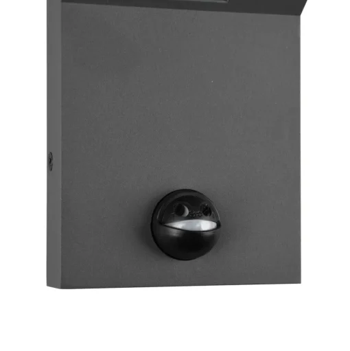 Buitenwandlamp Adour, antraciet, sensor, kantelbaar, CCT