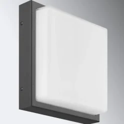 Buitenwandlamp Ernest, grafiet, 25 x 25 cm, E27, roestvrij staal