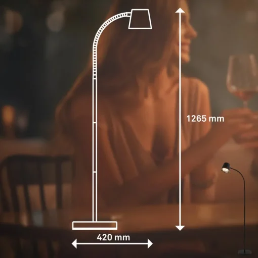 Cielo LED vloerlamp, zwart, touchdimmer, USB-kabel