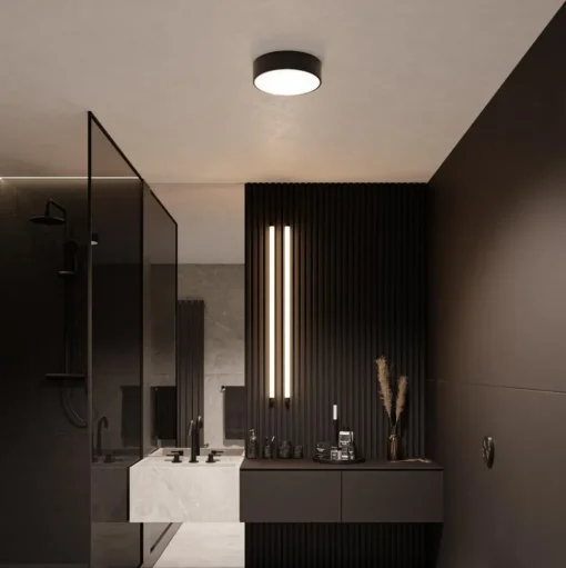 Cleo plafondlamp, Ø 50 cm, IP54, zwart, metaal, E27