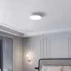 Cleo plafondlamp, Ø 50 cm, IP54, grijs, metaal, E27