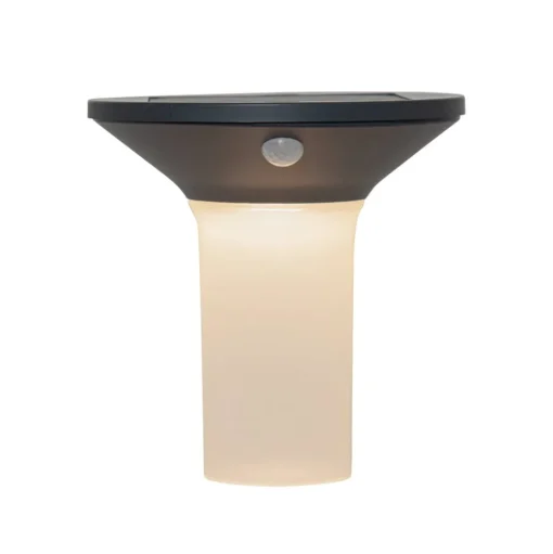 Corbezzola LED buiten wandlamp, zwart, sensor