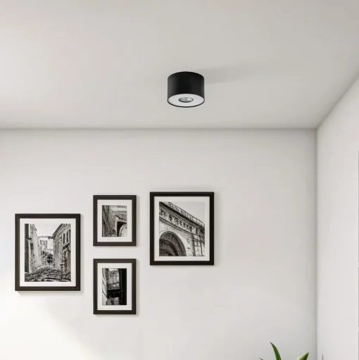 Downlight Point S, zwart/wit/zwart