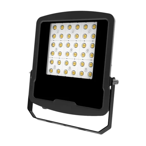 EVN Panthera buitenspot IP65 100W 4.000K