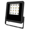 EVN Panthera buitenspot IP65 30W 4.000K