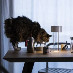 Foscarini LED tafellamp Fleur, wit