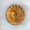 Gofurnit Veneria wandlamp, noten, Ø 50 cm