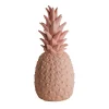 Goodnight Light Pinacolada sfeerlamp roze RGBW
