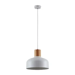 Hanglamp Carlise met houten element
