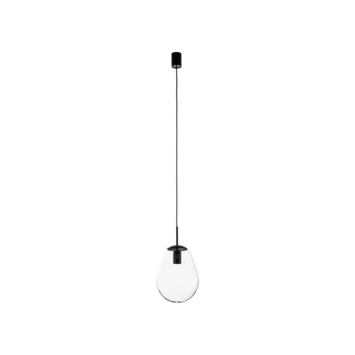 Hanglamp Pear S met glazen kap, zwart