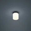 Helestra Keto LED plafondlamp, cilinder, zwart