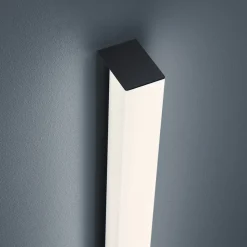 Helestra Lado LED spiegellamp zwart 120 cm