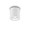 Helestra Lot buiten plafondlamp, IP65, wit
