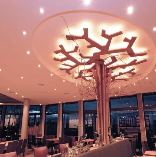Inbouwspot GU10 zonder lichtbron chroom