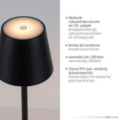 JUST LIGHT. Euria LED tafellamp, zwart, ijzer IP54