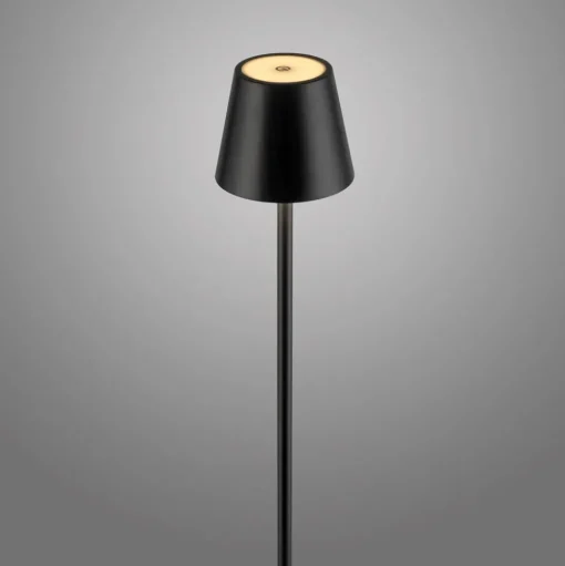 JUST LIGHT. Euria LED vloerlamp, zwart, ijzer, IP54
