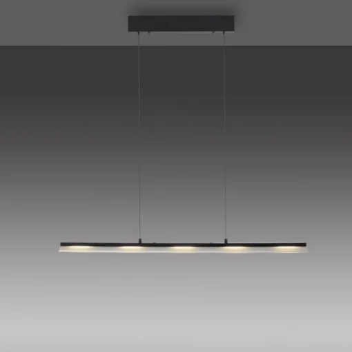 JUST LIGHT. Hanglamp Nele, zwart, ijzer, glas