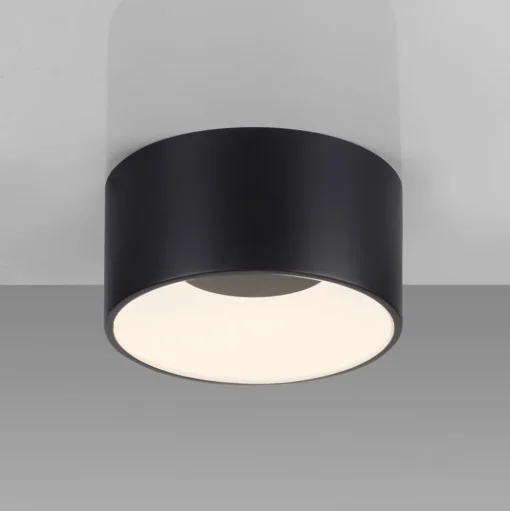 JUST LIGHT. Plafondlamp Tanika zwart, Ø16cm, dimbaar