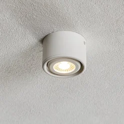 Kantelbare kop - LED downlight Anzio, wit