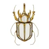 KARE wandobject Kever Spiegel, polyresin, glas, goud