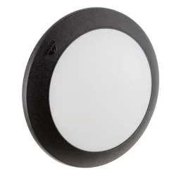 LED buiten plafondlamp Berta, zwart, CCT