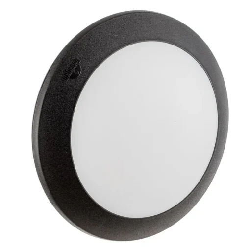 LED buiten plafondlamp Berta, zwart, CCT
