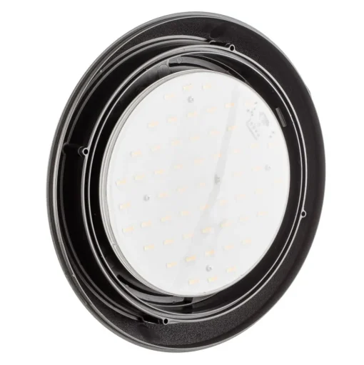 LED buiten plafondlamp Berta, zwart, CCT