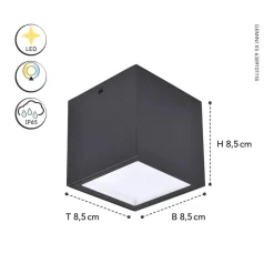 LED buiten plafondlamp Gemini XS, 4.000K antraciet