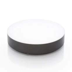 LED buiten plafondlamp Lyam, IP65, donkergrijs