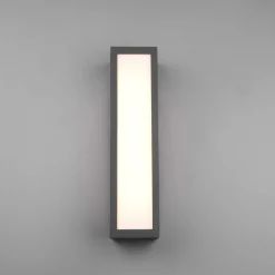 LED buiten wandlamp Fuerte, antraciet, aluminium, IP54