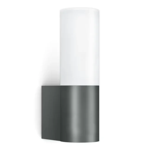 LED buitenwandlamp L 605 M, alu antraciet