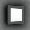 LED buitenwandlamp 3007LED, grafiet