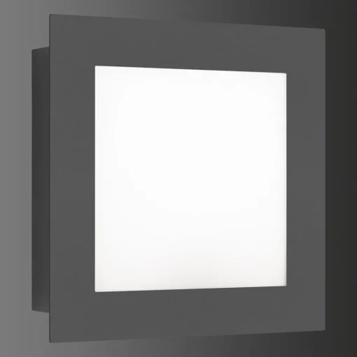 LED buitenwandlamp 3007LED, grafiet