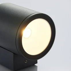 LED buitenwandlamp Visavia, één lampje