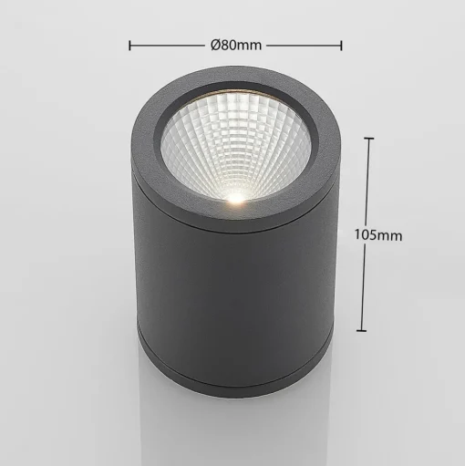 LED downlight Embla van aluminium IP54, grijs