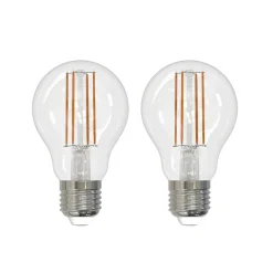 LED filament lamp E27 6W helder 2.700K dimbaar set van 2