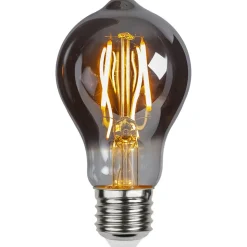 LED lamp E27 A60 Edison 2W Plain Smoke 2.100K